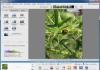 The best programs for viewing and editing photos